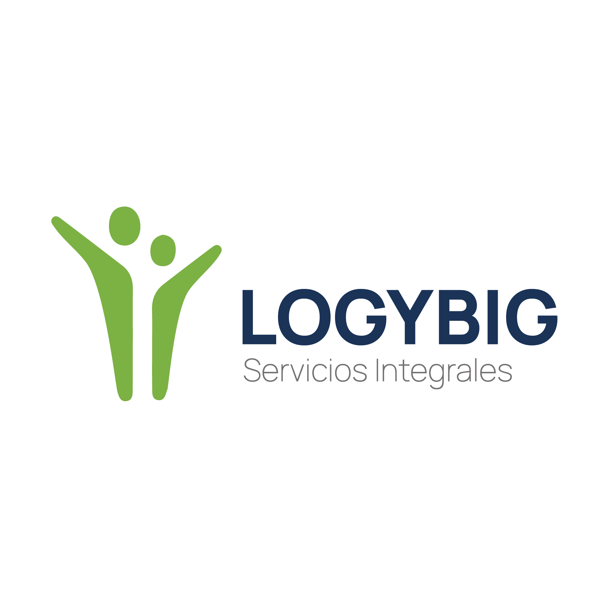 Rediseño Logo Logybig